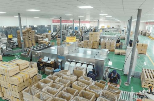 減產(chǎn)緣何反增收？一師阿拉爾市林果業(yè)高質(zhì)量發(fā)展技術(shù)開發(fā)揭秘