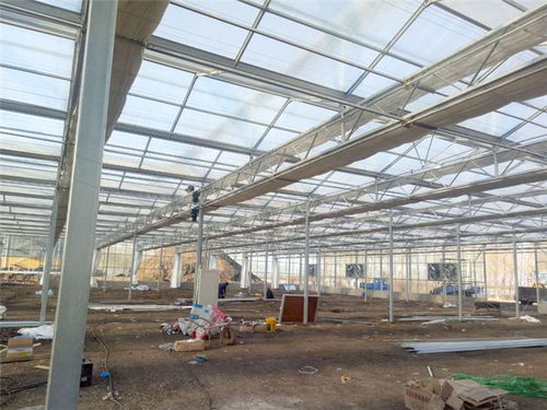 玻璃溫室設計與配套 青州瀚洋農業的專業解決方案