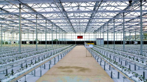 走進四方臺紫云嶺現代農業示范園區的智能溫室 大棚材料與配套設施的設計