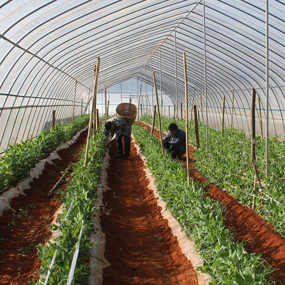 玻璃溫室、薄膜溫室與無(wú)土栽培 農(nóng)業(yè)溫室大棚材料及配套設(shè)施的設(shè)計(jì)要點(diǎn)